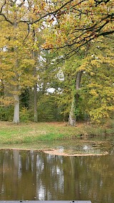 Noordmolen op Twickel