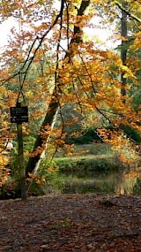 Rondom de Noordmolen