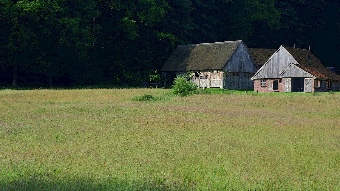 Erve Middelkamp en Tankenberg in De Lutte Twente