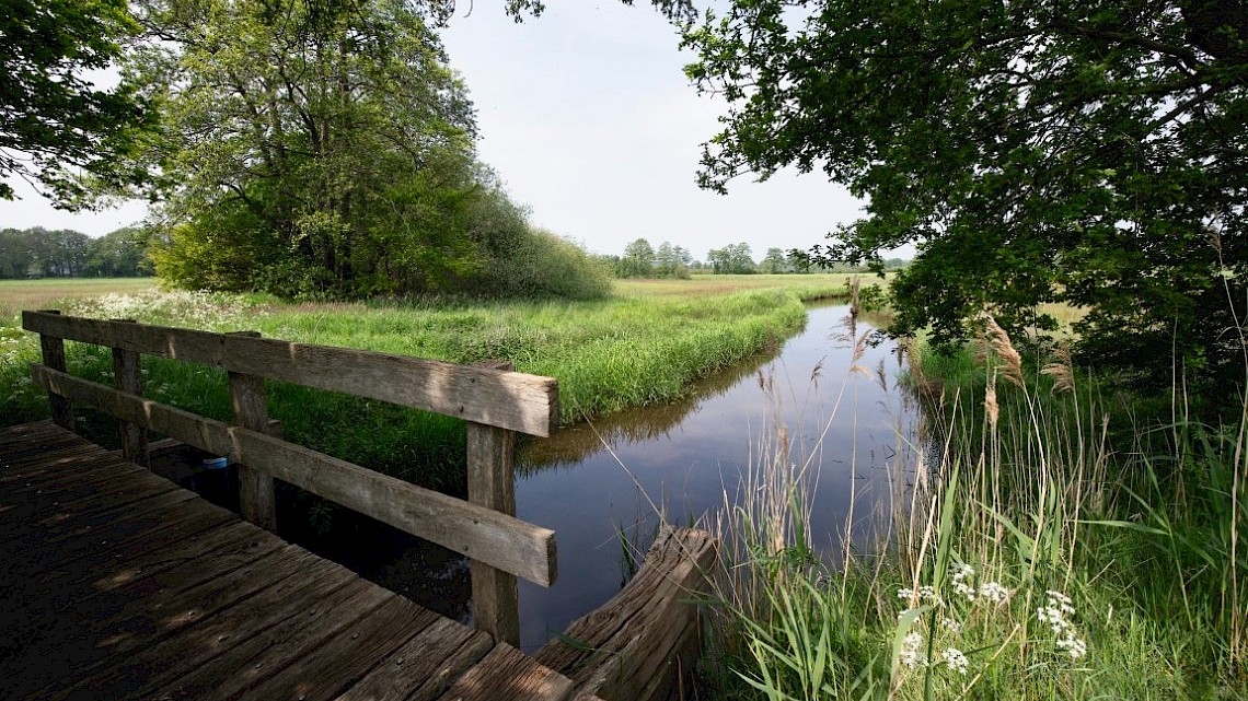 Wandelen in de omgeving van Ommen