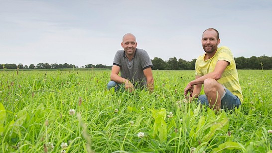 Familiebedrijf Oude Lansink pioniert met kruiden en klavers in grasland