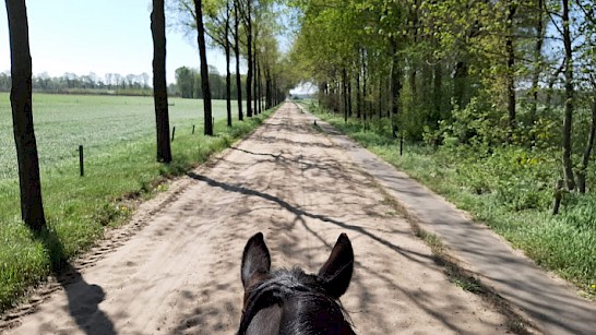 Route: Haaksbergen - Buurse - Rutbeek, foto Carolien Staal