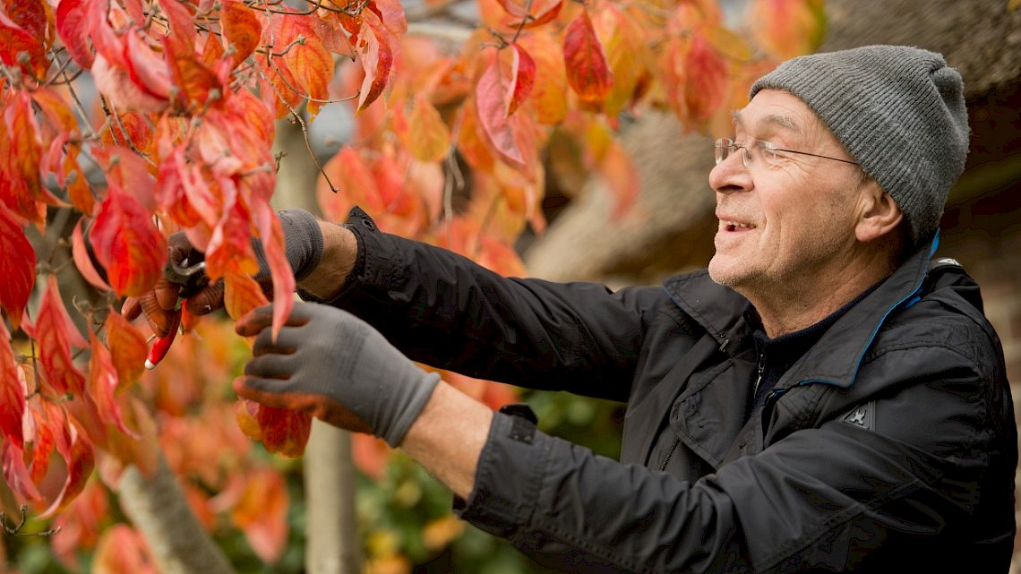 Herfst bij Tuindoenerij ’t Vlijtig Loesje in Elp