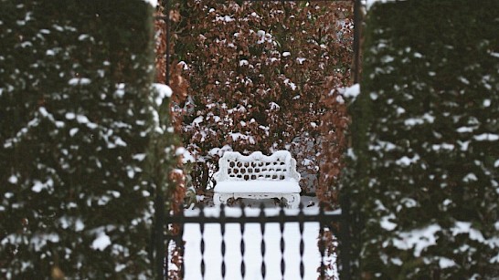 Winterstilleven bij Huys Beukenroode