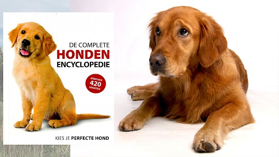 De Complete Hondenencyclopedie