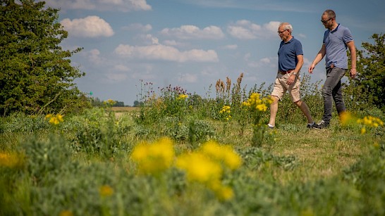 Het Pannerdensche Waardpad Klompenpad