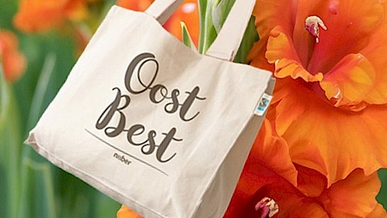 OostBest Naober tas