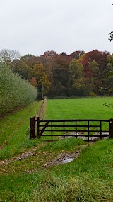 Wildenborch-Bosket. (geüpload door Maarten Jan.)