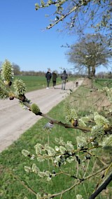 Een stukje wandelen in buitengebied Ruurlo (geüpload door Wilma)