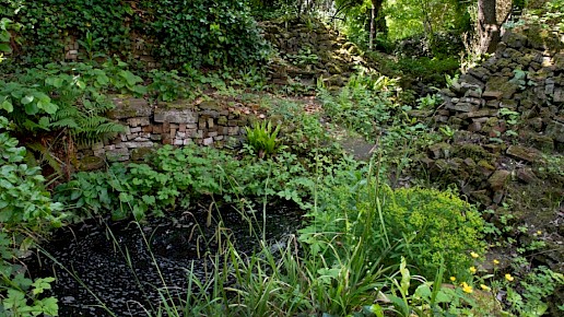 tuin van Sjef van der Molen